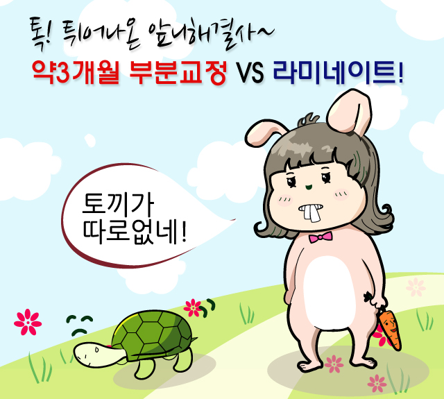 부분교정vs라이네이트